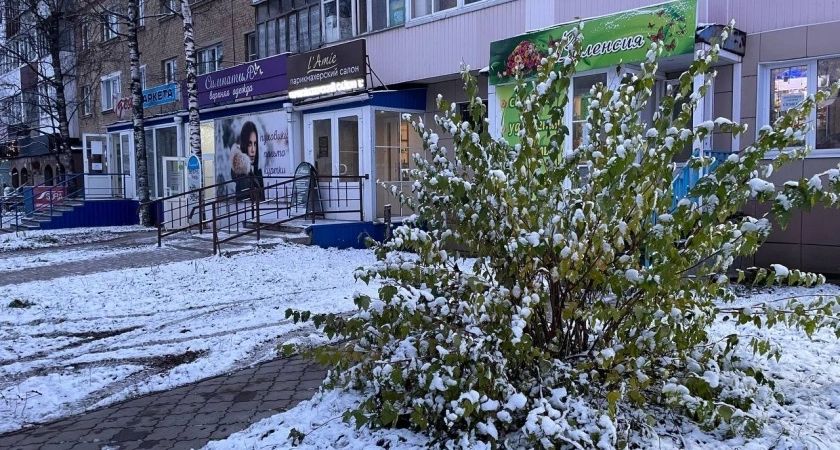 Полный откат к зиме: Гидрометцентр изменил прогноз на последние дни мая — морозы и снег накроют половину России