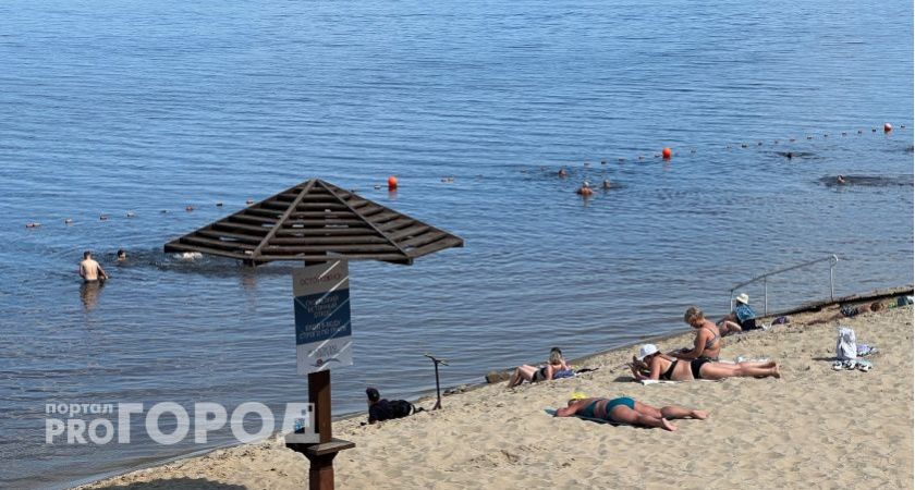"Еле убежали от этого гостеприимства": российский турист дал честный отзыв об отдыхе в Абхазии