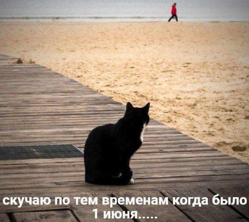   :     