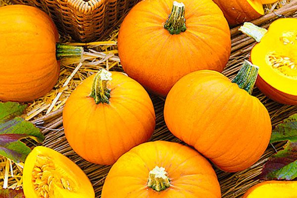 Тыква Фонарь: секреты выращивания и неповторимый вкус