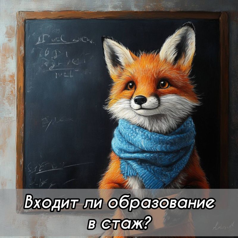 Образование и трудовой стаж: новая инициатива депутатов на грани провала