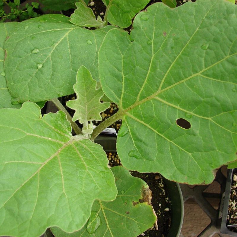 ������� ���������� ������ � ����������