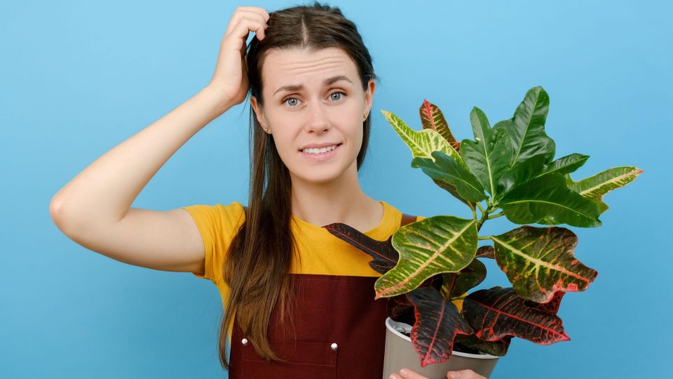 �������� ���������� � �������: ��������� ����� �� ������� ���� ������