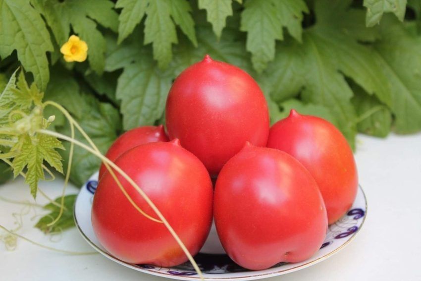 �������� ������ ��� ��������� ��������