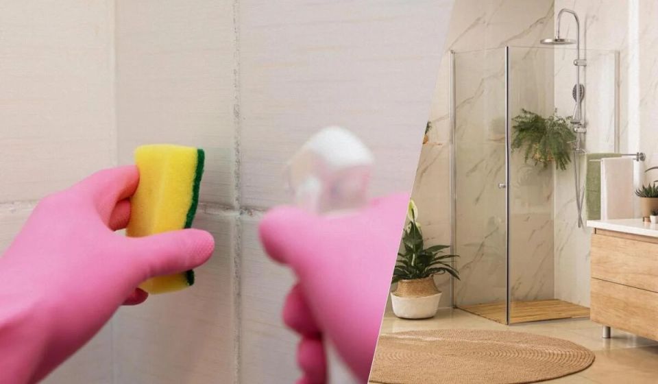 Эффективные методы борьбы с черной плесенью: как сохранить здоровье и уют в вашем доме