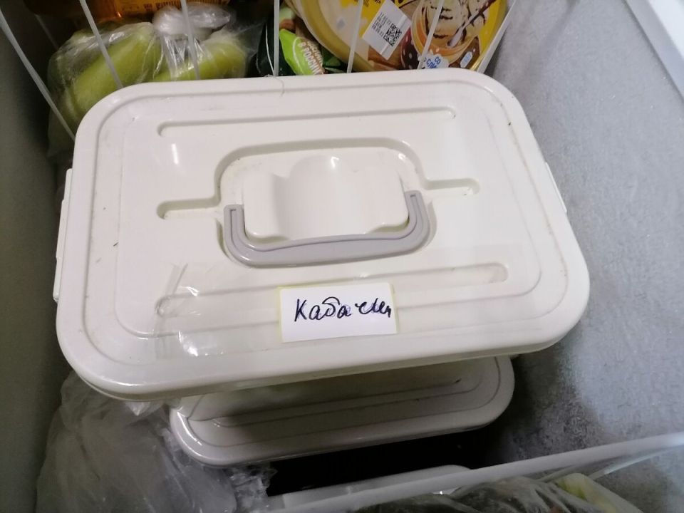 ������ �����������: ������������ ������ � ������� ��������