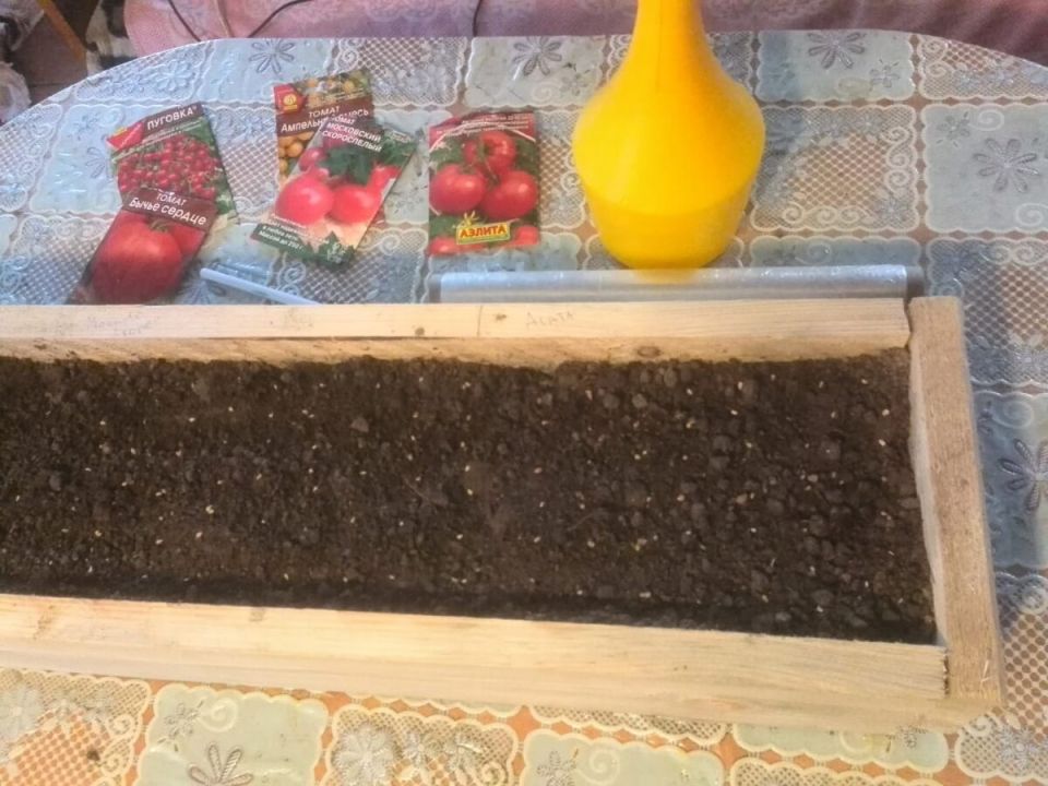 Январь: идеальное время для посева рассады овощей