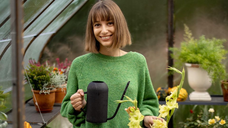 Древесная зола для этих культур хуже яда: и не думайте «кормить» ей посадки