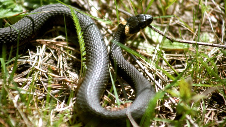 �� ��� ������: ��� ����������� ���� ����� �� ������� �� ���������� ������