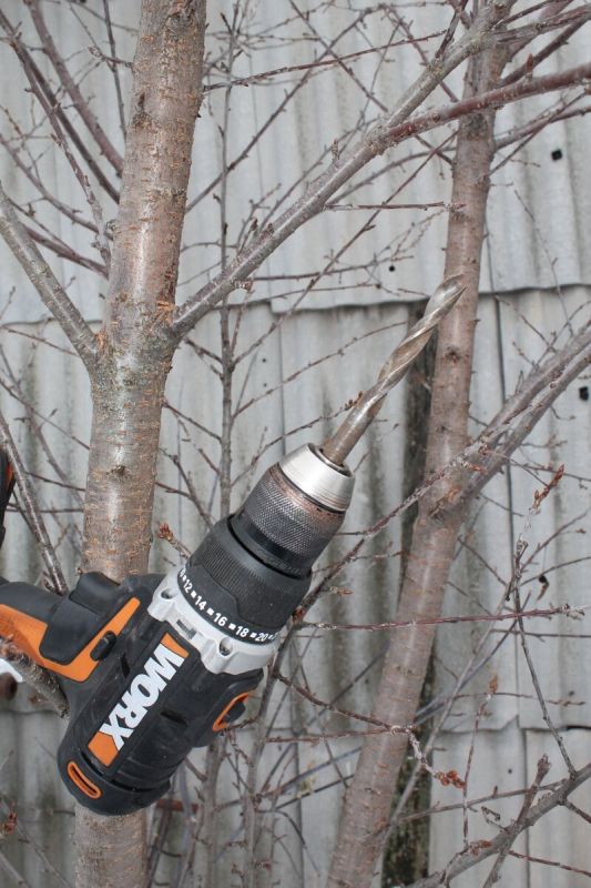 �������� �������� � ������� �����: ����� ������, ������� �������� ���������