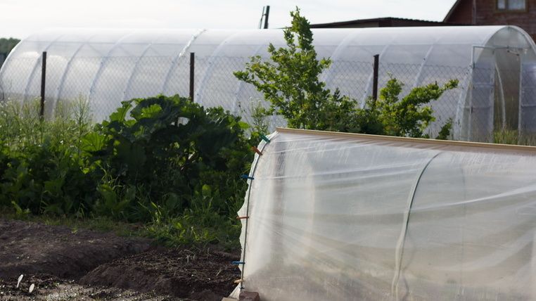 ��� ��������� ������� �� ��� �������� ������ � ����