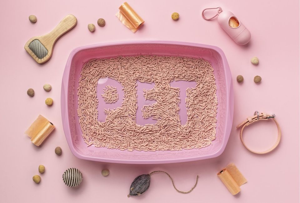 ��� ��������� ���������� � �������� �����: ������� ������� � ��������