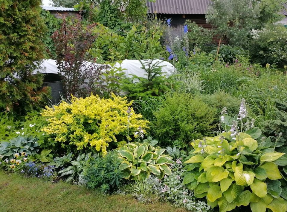 ��� �������������� ��������� ������: �� ������ ����� �� ������������ ��������� ��������