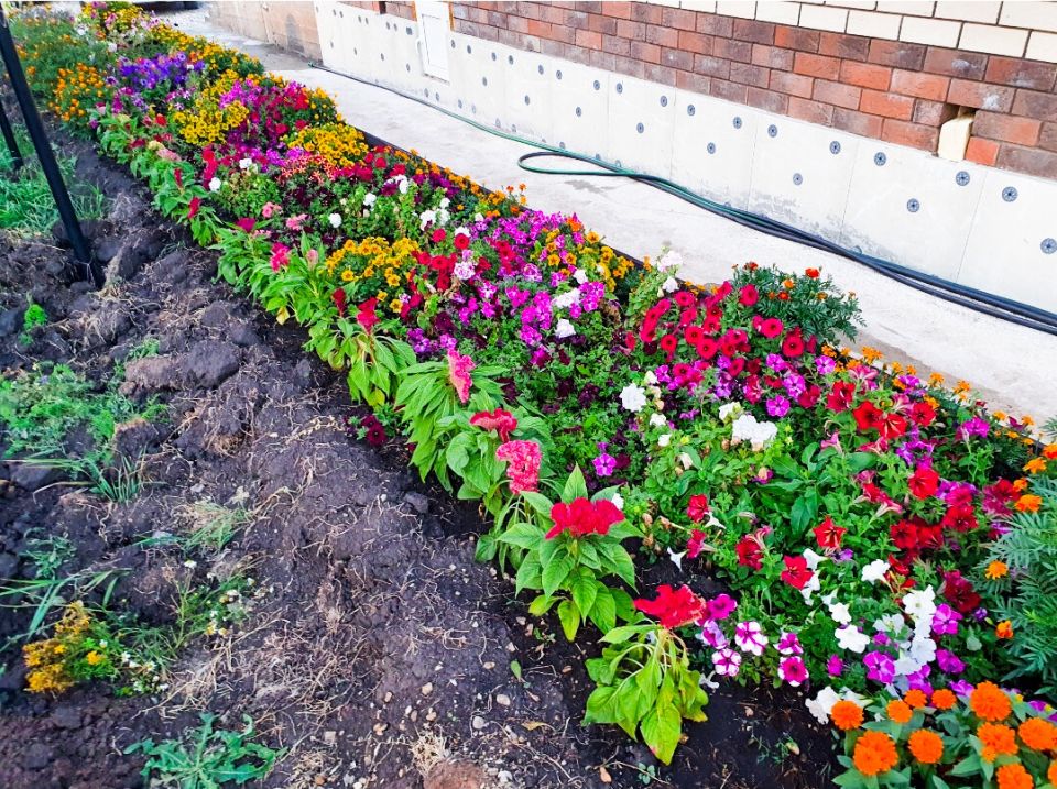 ����������� ��������� �� ����: ��� ������� �������� ������ �������