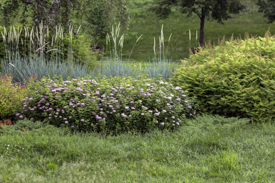 ������������ ����������: �� �������� �� ��������