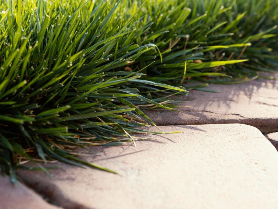 ������ �� ������ � ���������: ��� ���������� �� ������������� �������������� �� ��������