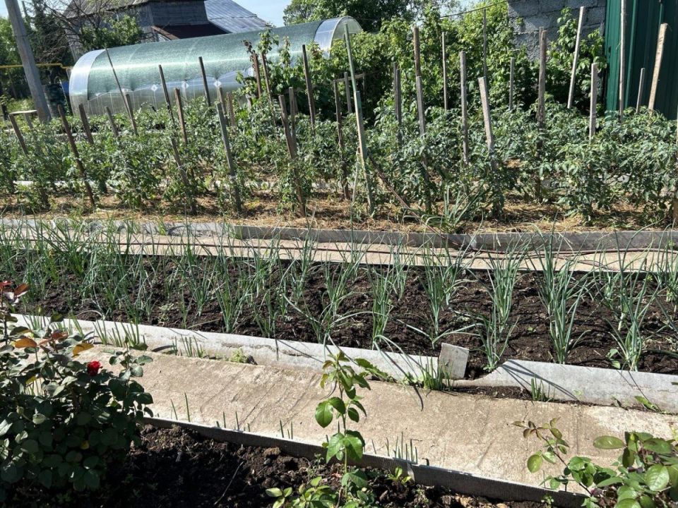 ��� ���������� �� ������� ��� �����: ������� ��������� ������