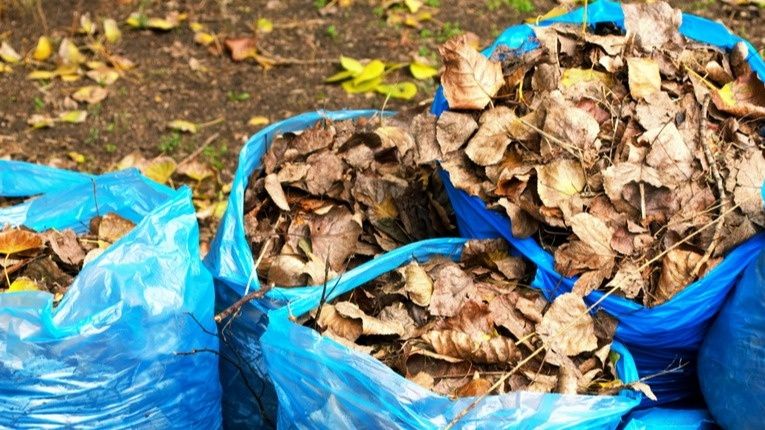 ��� ������ ���������������: ��� �������� ������� � �������� ������������ �������