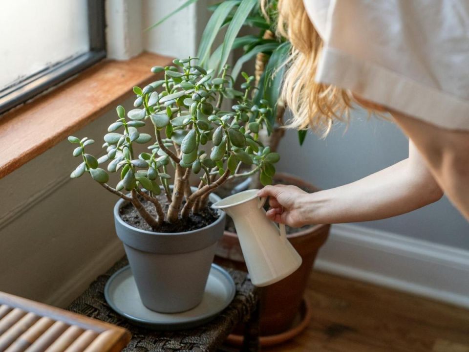 ������� ������ ��������� ������: ��� ����� �� ���������� �����