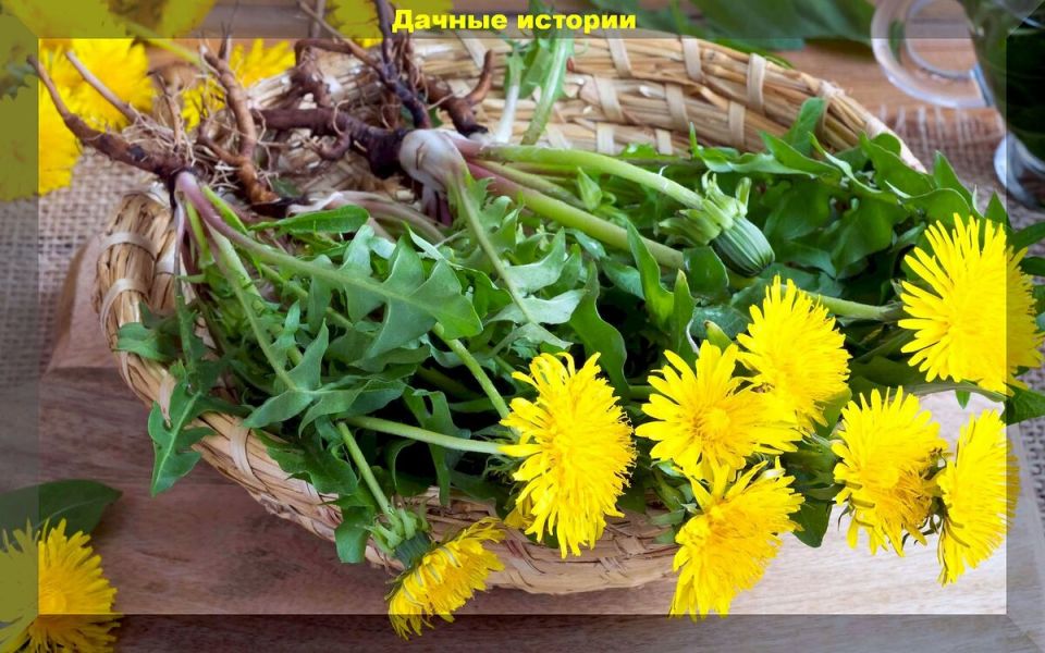 �������� ���������: ��� ����������� ������� ��� ������������� �� ����