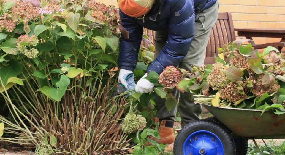 ������ ������� ���������: ��� ����������� �������� � �������