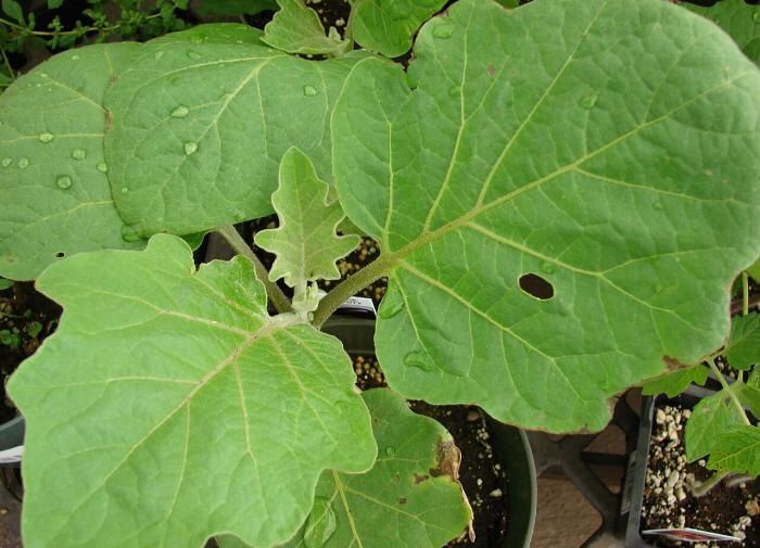 ����� ��������� ������� ������� �������� � ������ ����