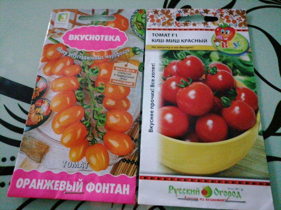 популярные сорта черри для вашего сада: индетерминантные и вкусные