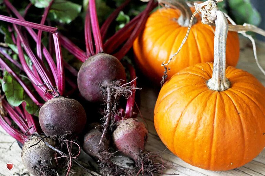 ������ ������� �����: �����, ������, ���������