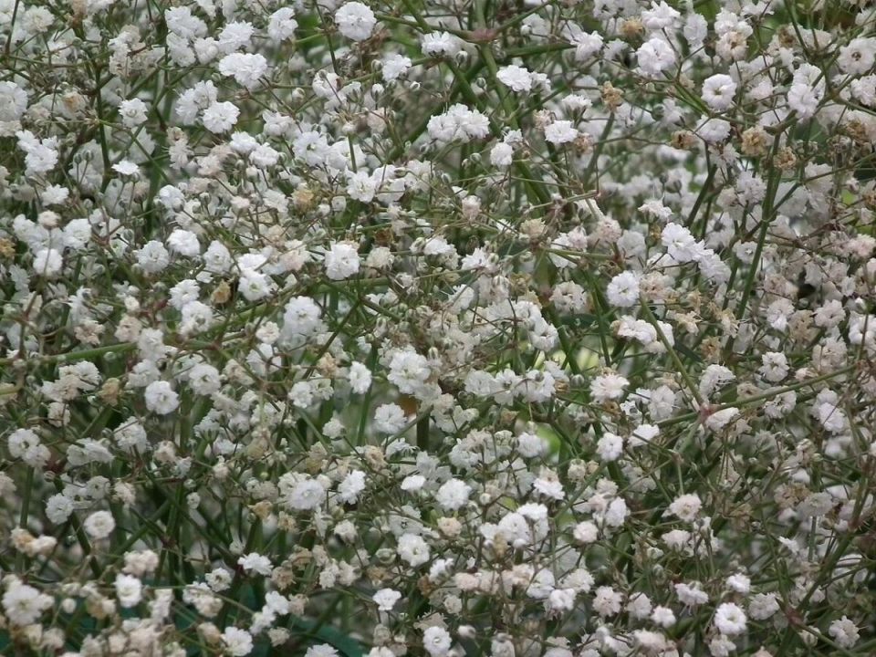 ������ ��������� �������� �� ����� ��������� � ��� � ���� ����������