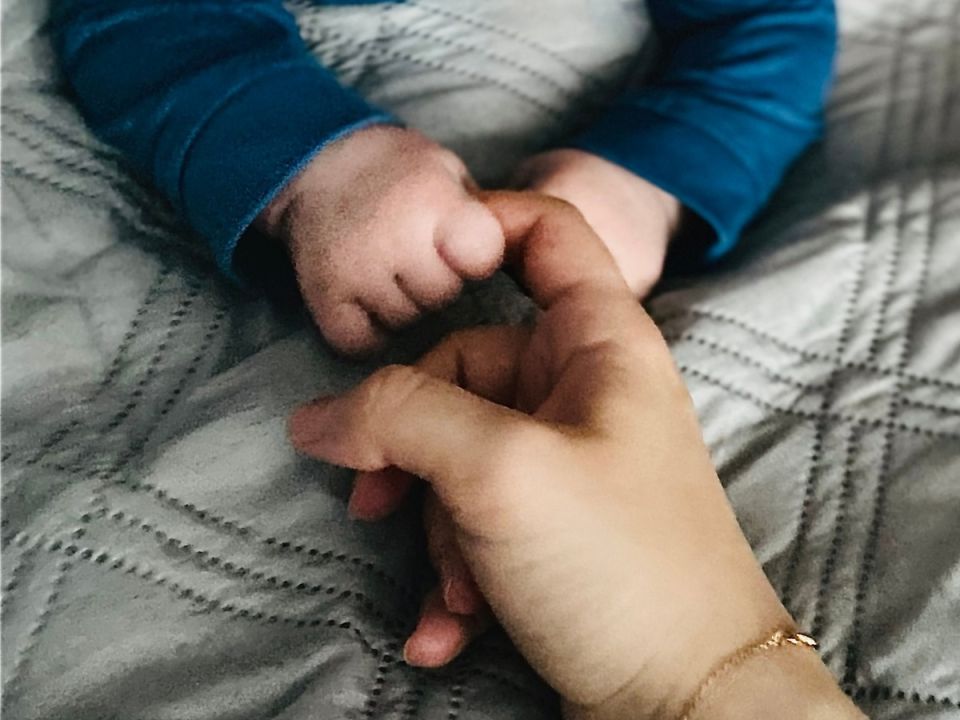 � ������ 2026 ���� ��������� ������ ��-������ ��������� ���� �� ���������� �����