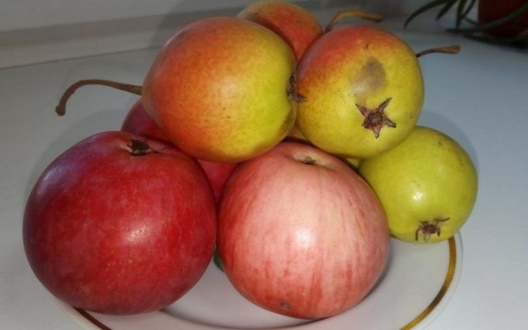 ��� ��������� ���� ����� � ������: ������ ��������� ��� ����������� �������