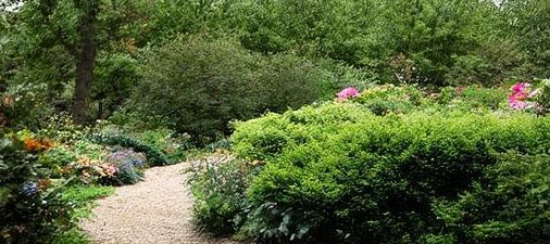 ��������� ������� �������: ��� ������������� ������� ���� � ���������� �������� ���������