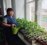 Ногаа аймаан келир джтке чедир курлавырлап алыр