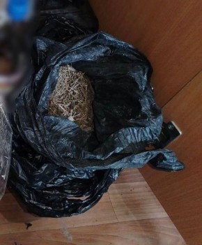 В Чадане сотрудниками полиции раскрыт факт незаконного хранения наркотических средств