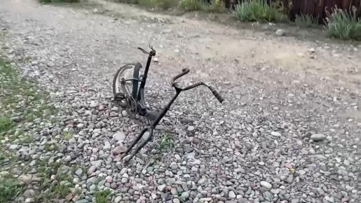  .      ,     11- 