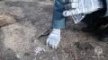 28         ,      ,   