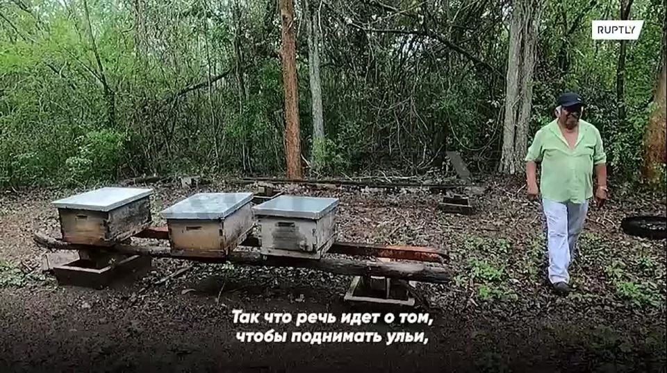   :       