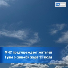        11 :    