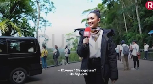  :      300 ,       TikTok