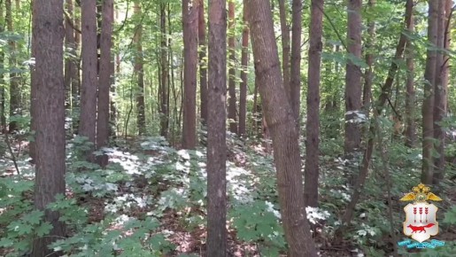      83- ,     