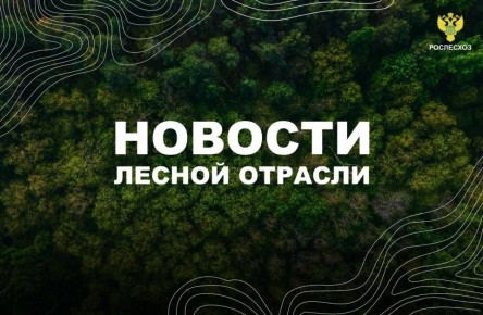 :  ,  :       