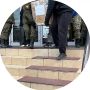 В Туве завершается сбор гуманитарной помощи для бойцов, участвующих в специальной военной операции