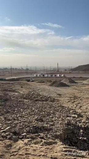 У подножья горы Догээ состоялась высадка сосен на аллее Славы