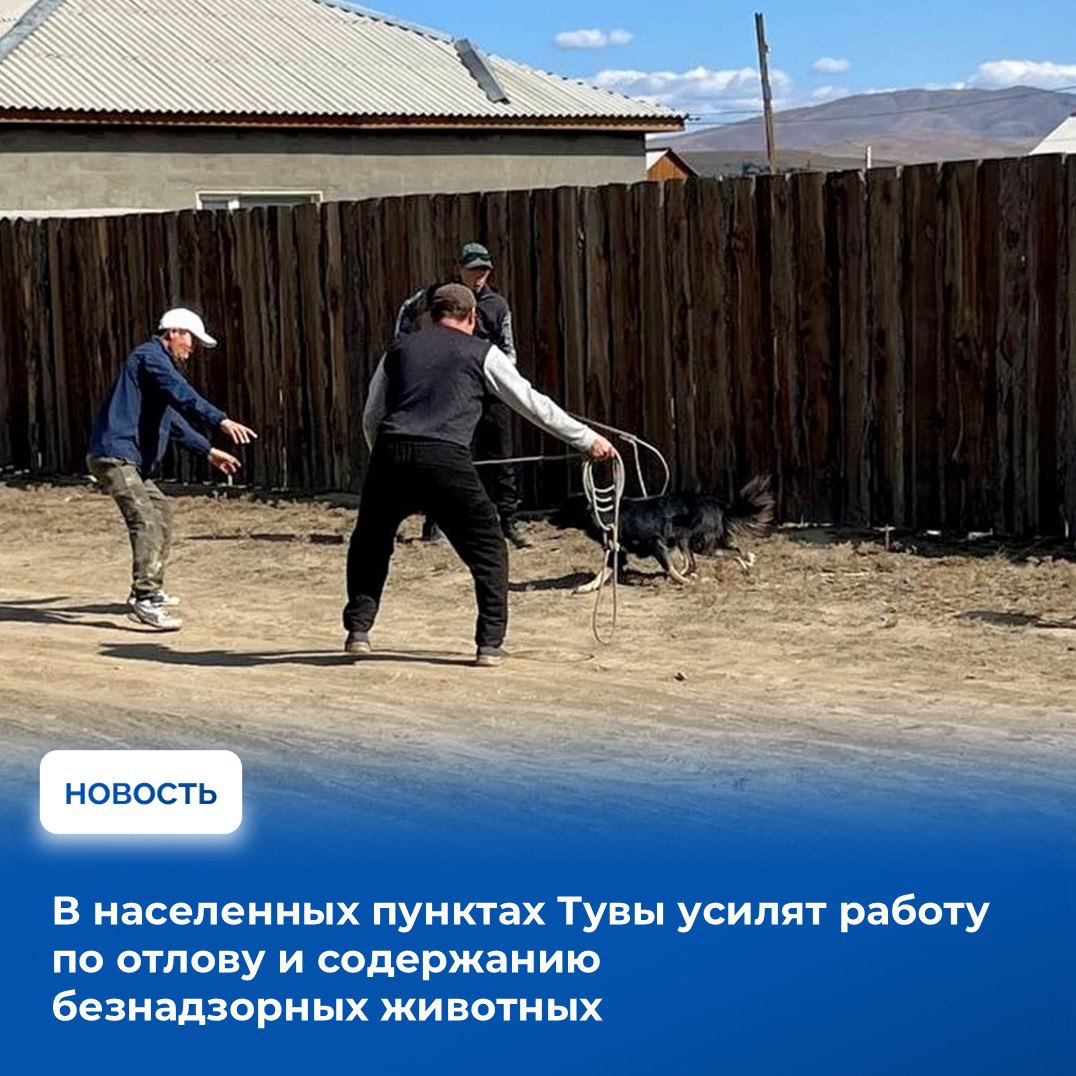 На аппаратном совещании в Правительстве Тувы под председательством Главы республики Владислава Ховалыга представители оперативных служб и правоохранительных органов представили свод оперативной информации за прошедшую неделю На аппаратном совещании в Правительстве Тувы под председательством Главы республики Владислава Ховалыга представители оперативных служб и правоохранительных органов представили свод оперативной информации за прошедшую неделю