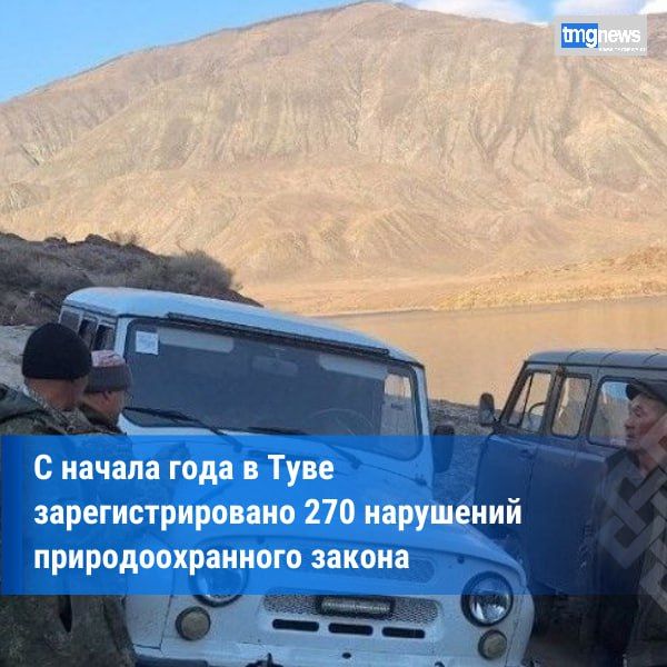 В Туве за неделю выявлено 3 нарушения правил охоты