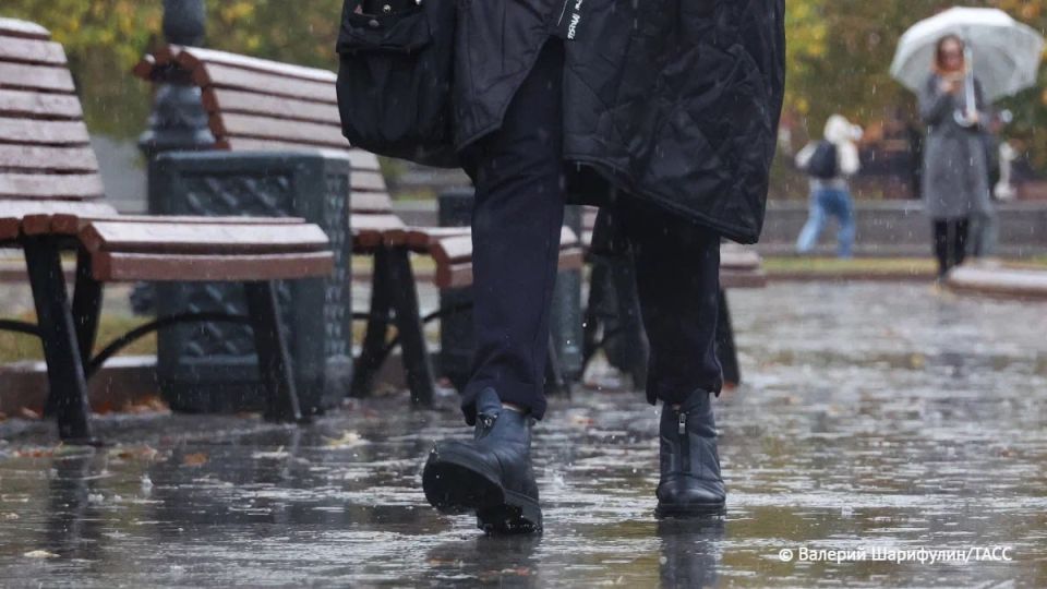 Небольшие дожди с мокрым снегом и ветер до 15 м/с прогнозируются сегодня в ряде регионов Сибири