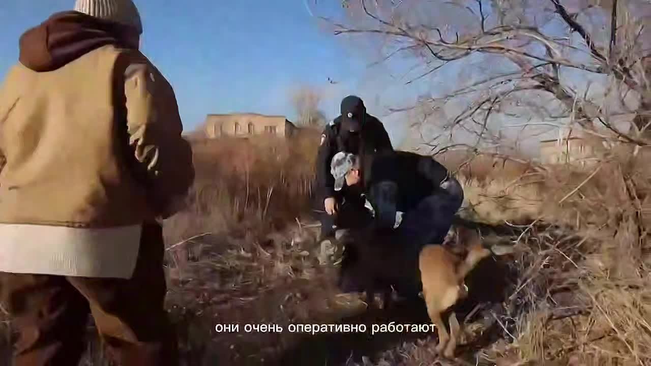 Друзья, наш проект «Юные помощники полиции» получил поддержку на федеральном уровне