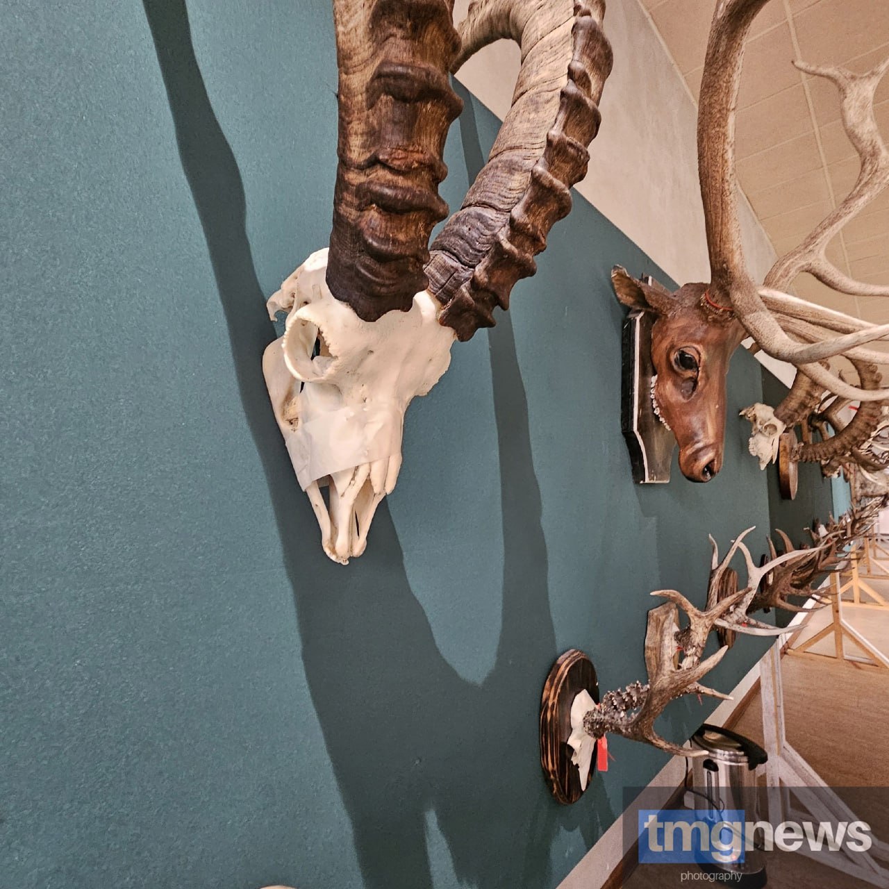 В Туве отметили 80-летие Госкомохотнадзора В Туве отметили 80-летие Госкомохотнадзора