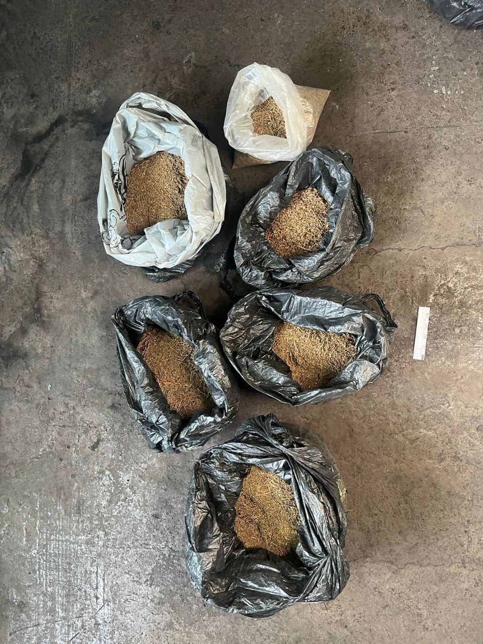 В Кызыле сотрудниками наркоконтроля задержан подозреваемый в незаконном хранении наркотических средств в крупном размере В Кызыле сотрудниками наркоконтроля задержан подозреваемый в незаконном хранении наркотических средств в крупном размере