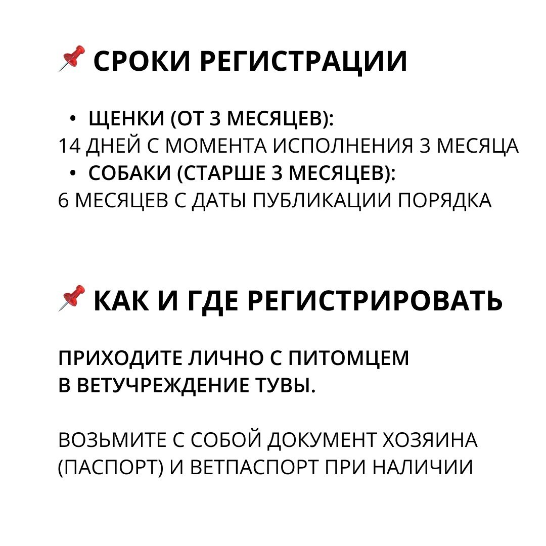 Служба ветеринарии Тувы призывает владельцев кошек и собак регистрировать их в системе «Хорриот» Служба ветеринарии Тувы призывает владельцев кошек и собак регистрировать их в системе «Хорриот»